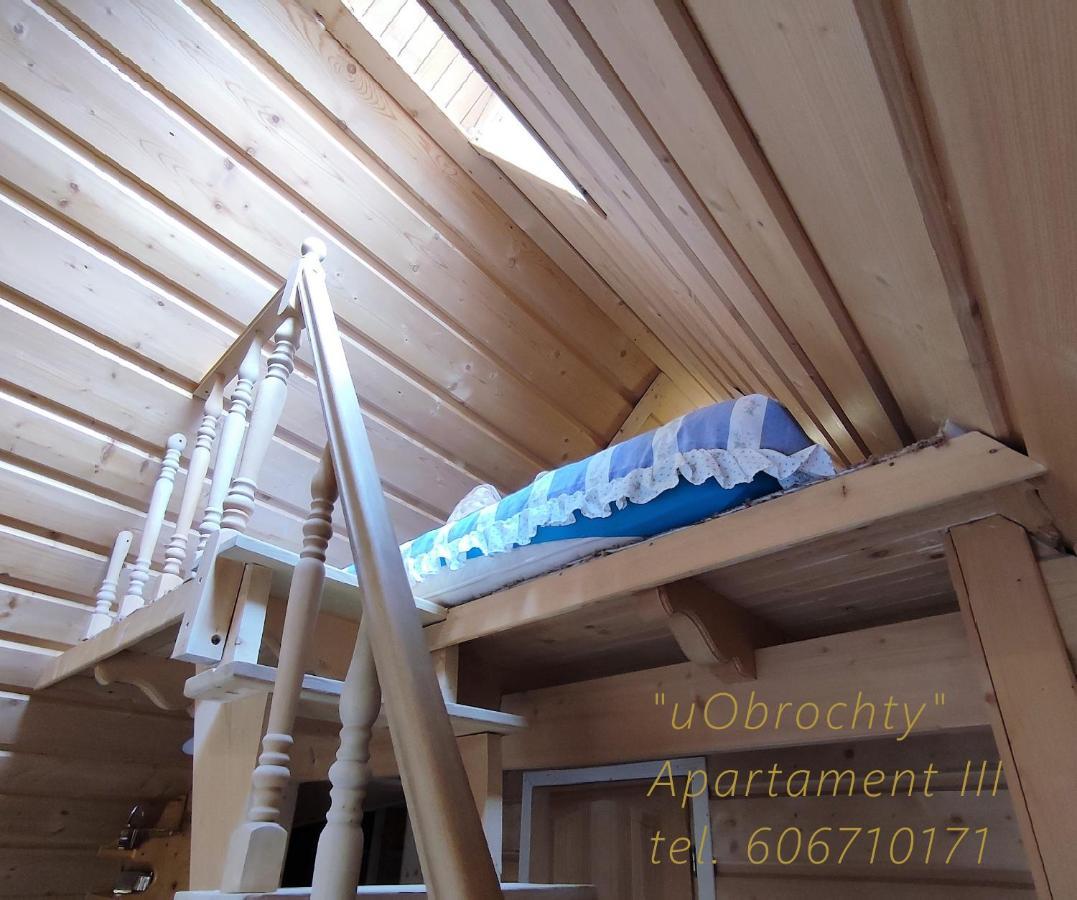 U Obrochty Διαμέρισμα Ζακοπάνε Εξωτερικό φωτογραφία